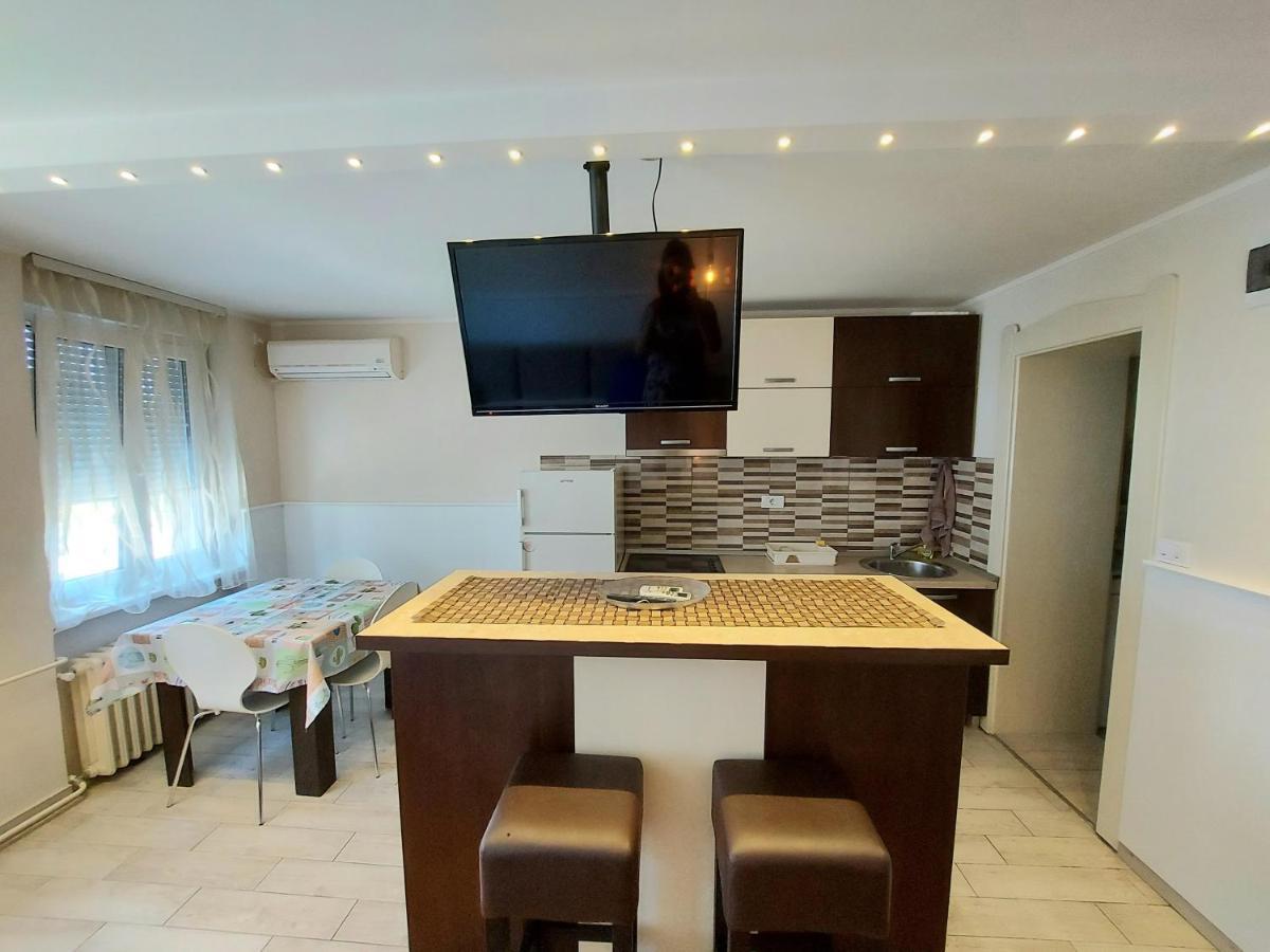 Central Apartment With Garage Novi Sad Buitenkant foto