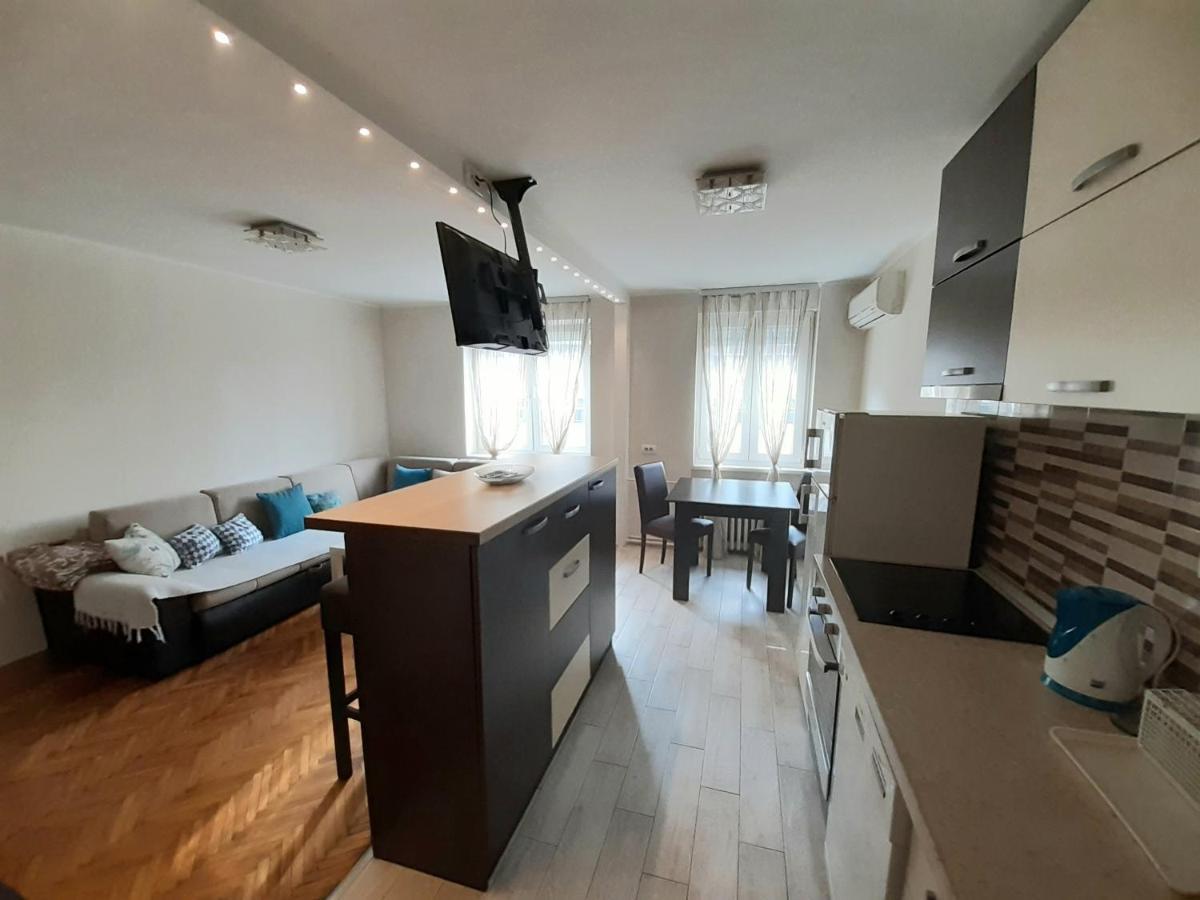 Central Apartment With Garage Novi Sad Buitenkant foto
